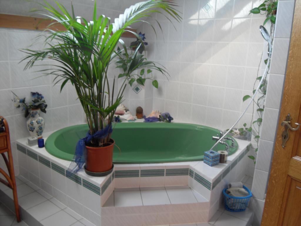 弗吕住宿加早餐旅馆 Hofstetten-Fluh 外观 照片